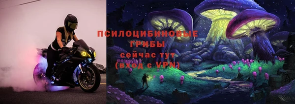 PSILOCYBIN Алзамай