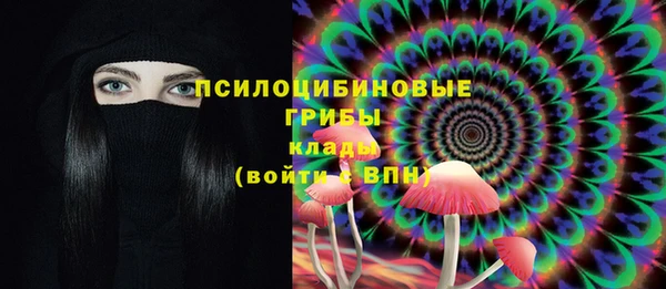 PSILOCYBIN Алзамай