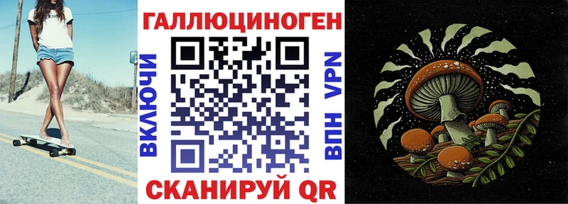 Псилоцибиновые грибы Psilocybe  Алушта 