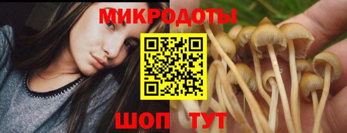 Галлюциногенные грибы Magic Shrooms Алушта