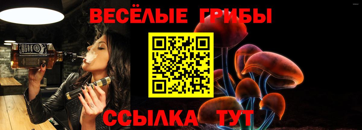 Галлюциногенные грибы Cubensis  Псилоцибиновые грибы мицелий  Вход с VPN  Алушта 